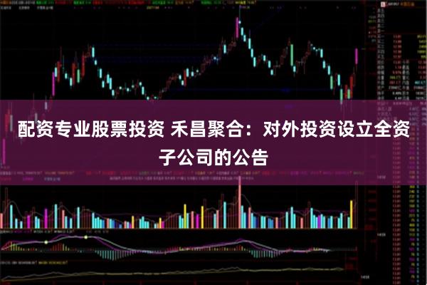 配资专业股票投资 禾昌聚合：对外投资设立全资子公司的公告